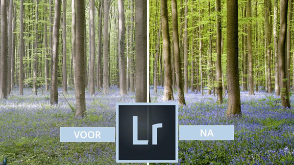 Gratis Cursus Adobe Lightroom