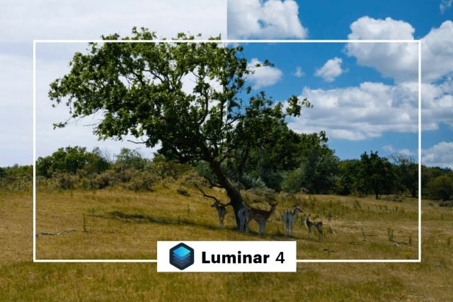 Dit zijn de nieuwe mogelijkheden van Luminar 4