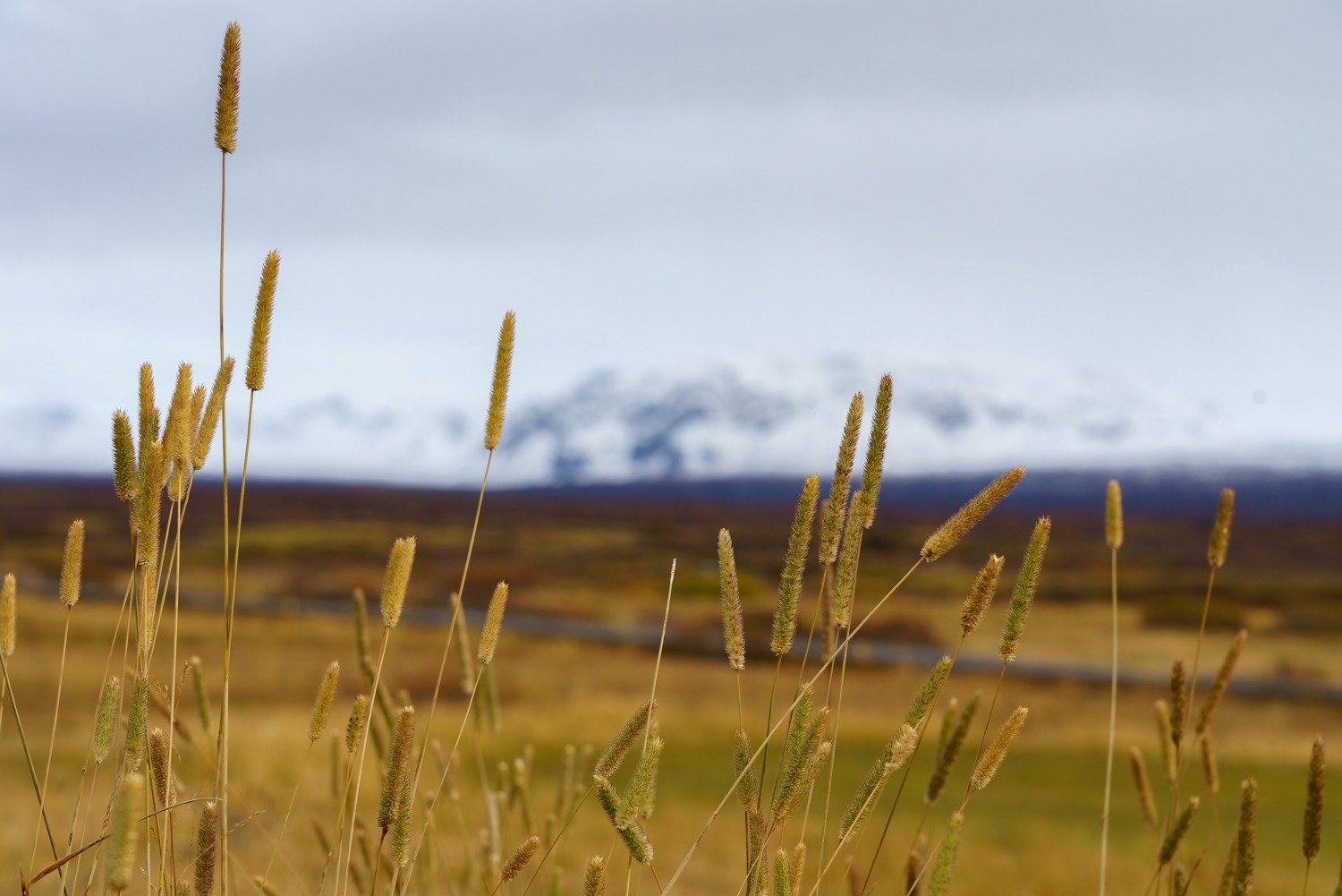 Veelvoorkomende fouten tijdens landschapsfotografie