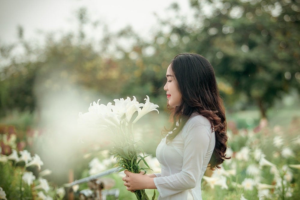 Bokeh met een rustig kleurenpalet