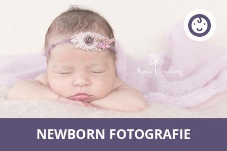 beste new born fotografie les