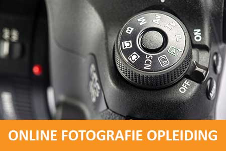 online fotografie opleiding de rooij fotografie