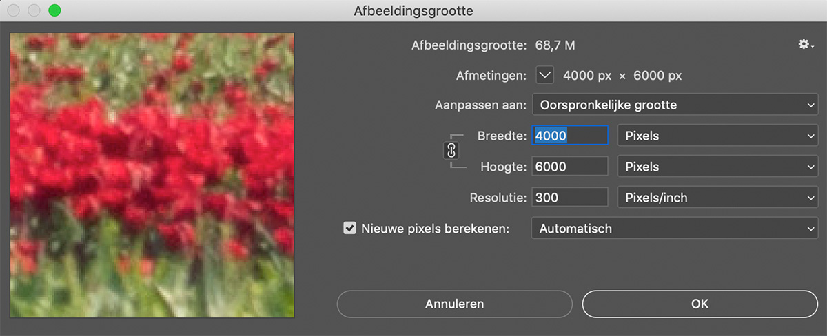 dpi instellen met photoshop