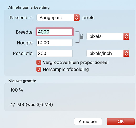 dpi instellen met voorvertoning 1