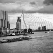 Fotoposter Rotterdam - Erasmusbrug in Zwart-Wit