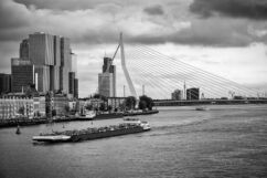 Fotoposter Rotterdam - Erasmusbrug in Zwart-Wit