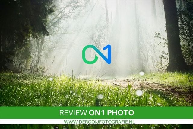 review-on-1-photo