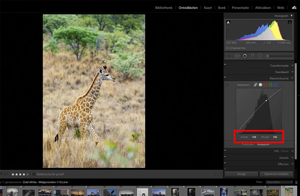 nieuwe functies lightroom 9.3 curve