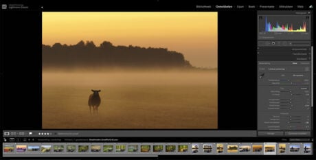 Beste Adobe Lightroom Classic cursus in Nederland