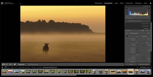 Beste Adobe Lightroom Classic cursus in Nederland