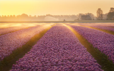 Exposure Blending Fotobewerkingstechniek Exposure blending in Photoshop CC