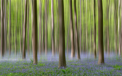 ICM-fotografie in Photoshop ICM-fotografie