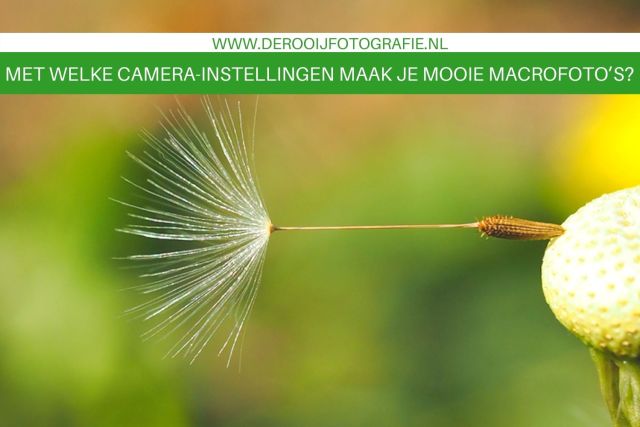 camera instellingen voor mooiere macro foto's