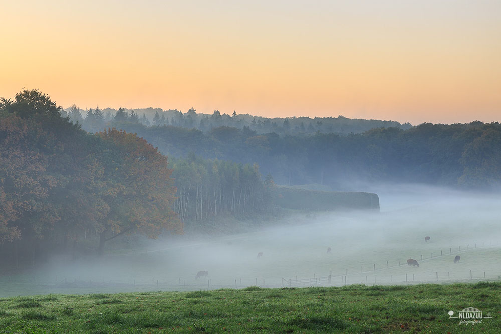 Workshop Herfstlandschappen Fotograferen