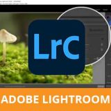 online-cursus-adobe-lightroom-DRF