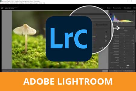 online cursus adobe lightroom DRF