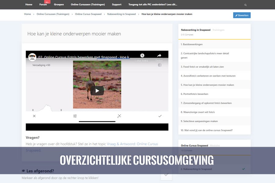 online cursus snapseed fotobewerking overzicht