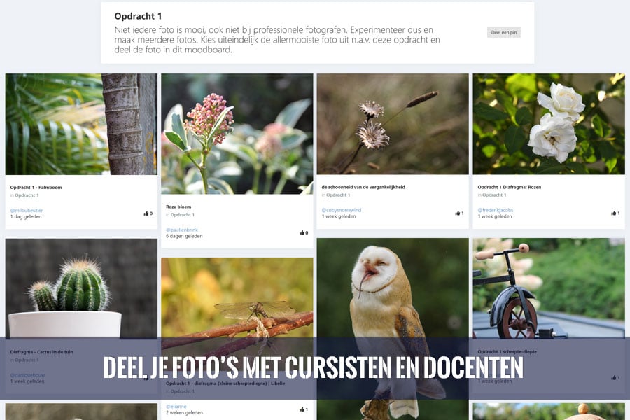 Online Fotografie Cursus met opdrachten