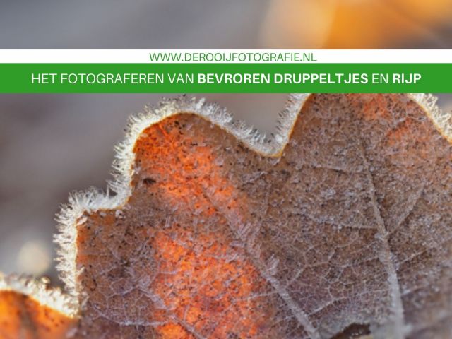 Het fotograferen van bevroren druppels en rijp