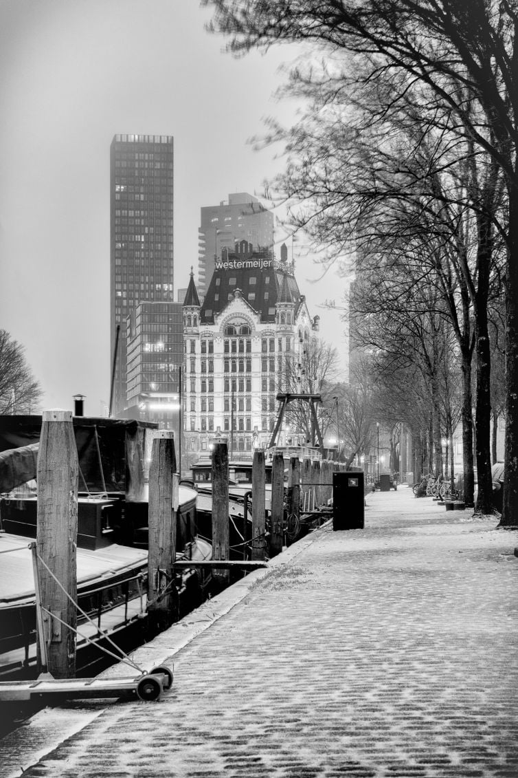 Haringvlieg en Witte Huis met sneeuw in Rotterdam