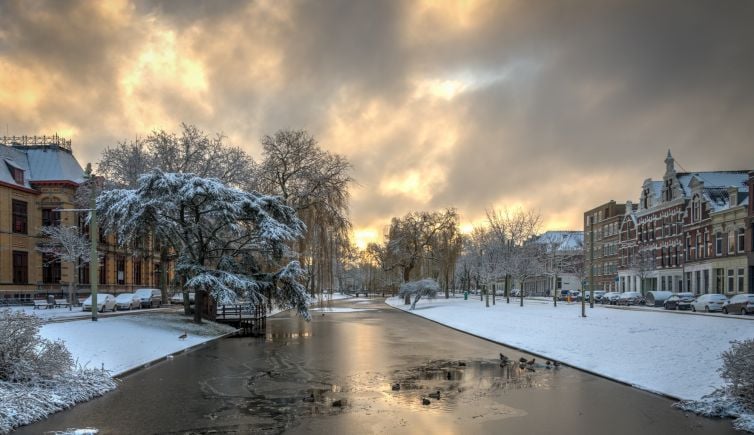 Mooiste winterfoto's Rotterdam - Noordsingel