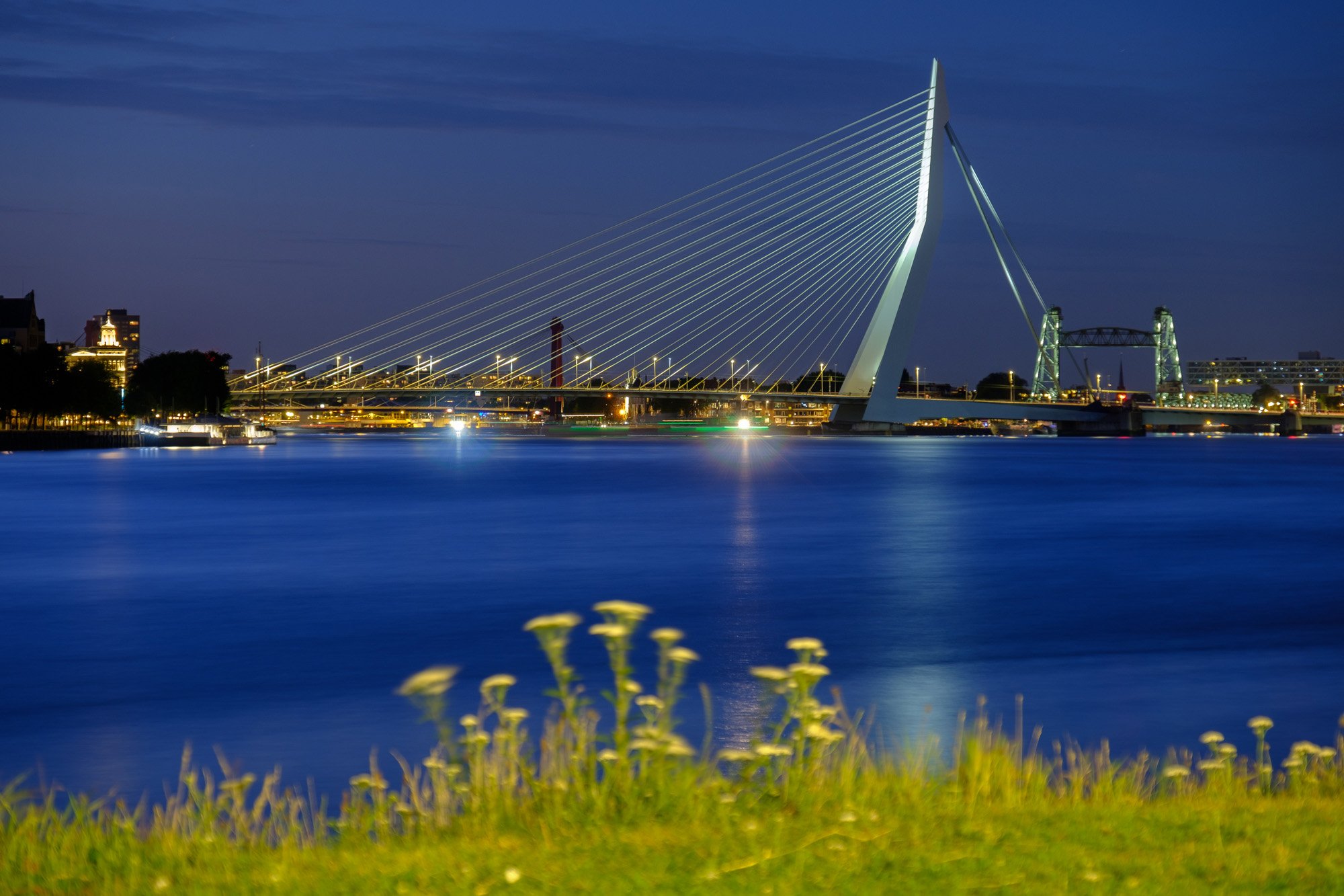 De Erasmusbrug tijdens het blauwe uur