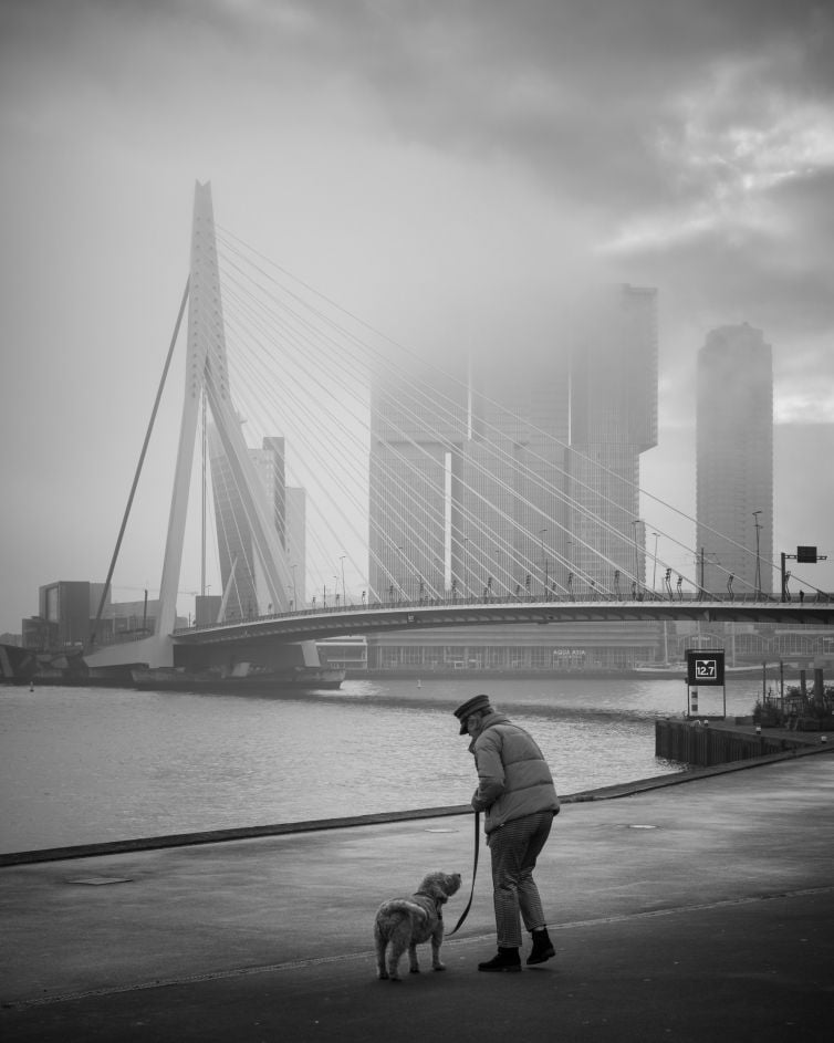 Foto van Erasmusbrug in de mist