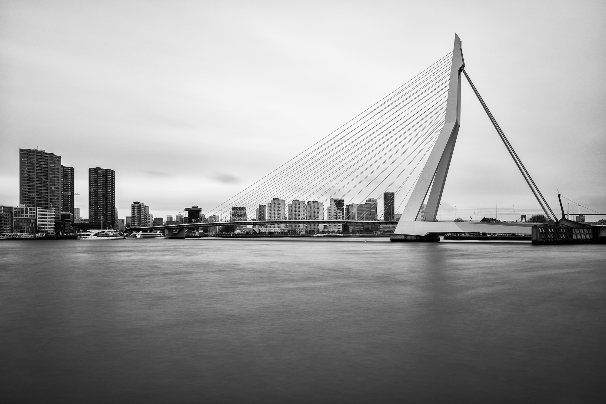 Mooiste zwart-wit foto van de Erasmusbrug