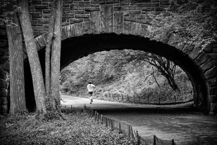 Mooiste foto's Central Park New York