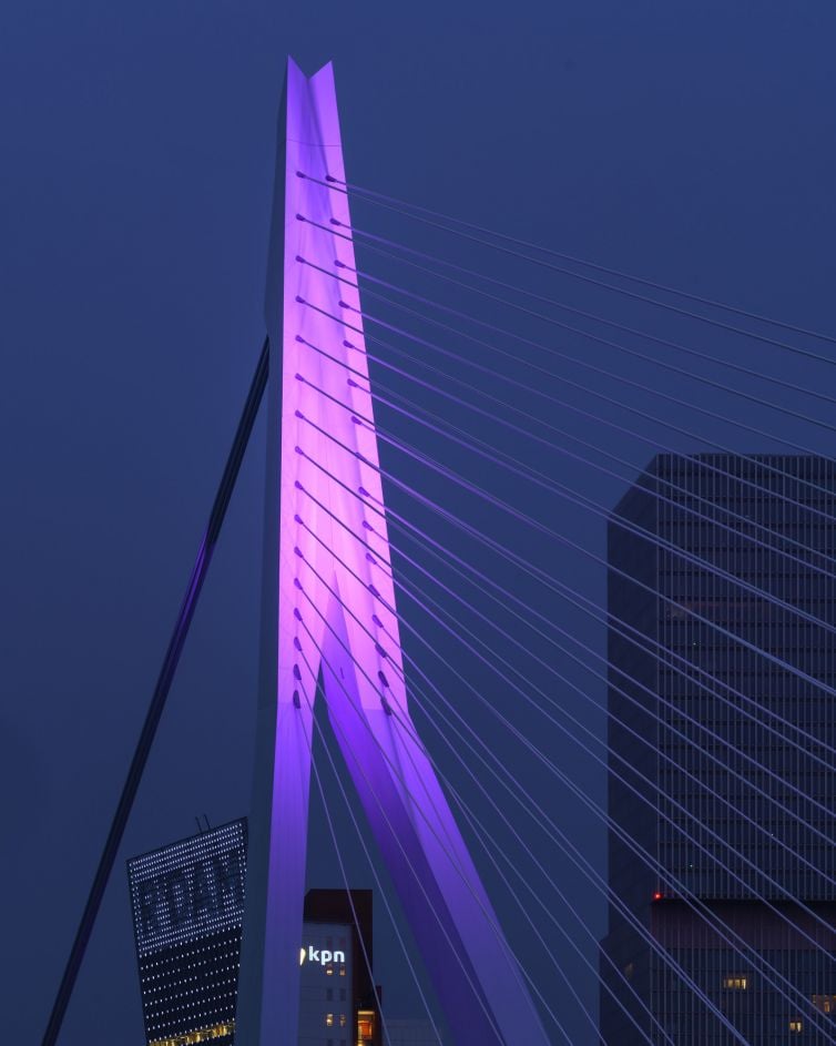 Paarse Erasmusbrug in Rotterdam