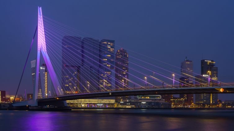 Mooiste foto's Erasmusbrug in het paars