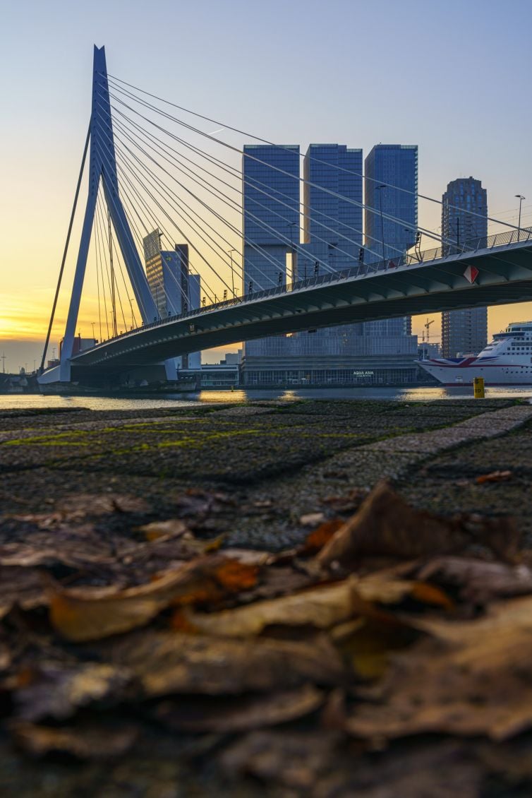 Zonsopkomst foto Erasmusbrug in de herfst