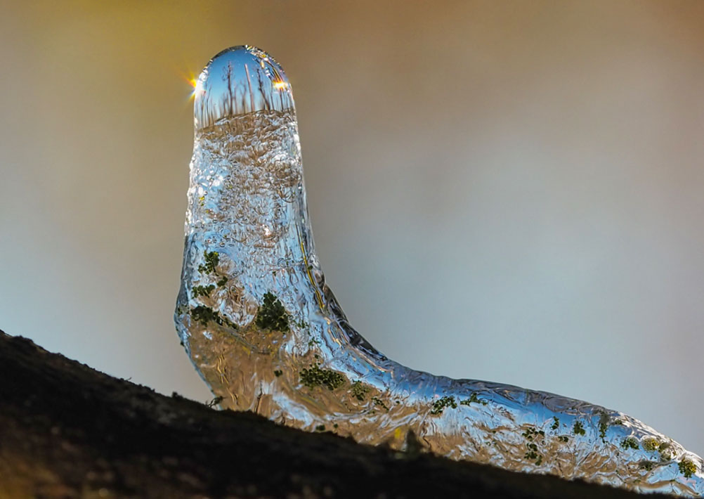 Bevroren bloesem fotograferen in de lente met een macrolens