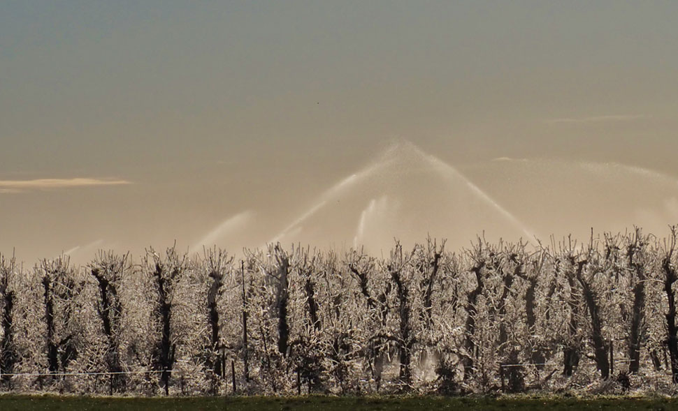 Bevroren bloesem fotograferen in de lente met een macrolens