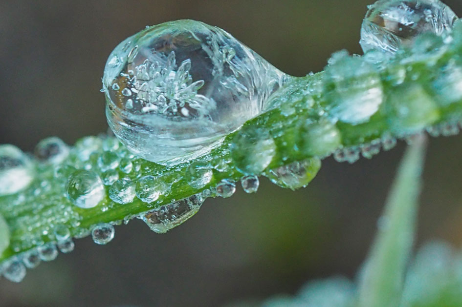 bevroren druppels fotograferen met een macrolens