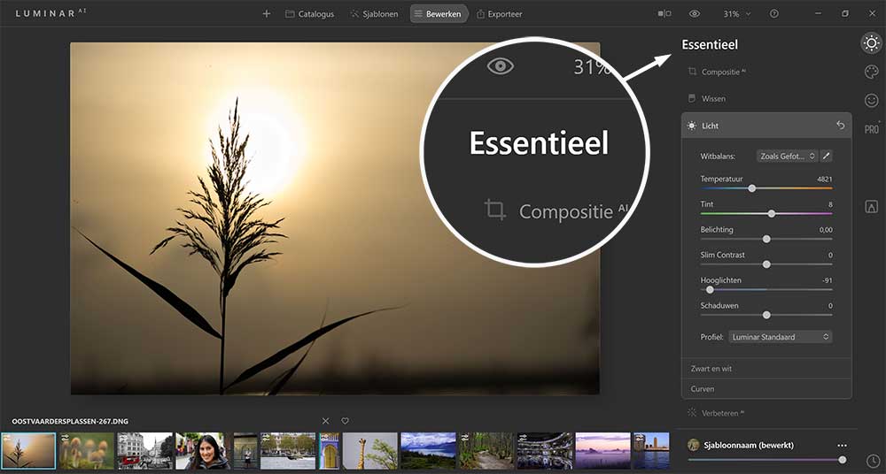 luminar-ai-essentiele-bewerkingen-cursus Belichting tips LuminarAI uitgelegd