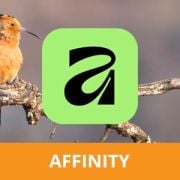 Online cursus Affinity - De beste online cursussen voor fotografie en fotobewerking
