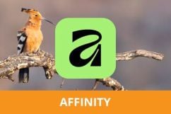 Online cursus Affinity - De beste online cursussen voor fotografie en fotobewerking