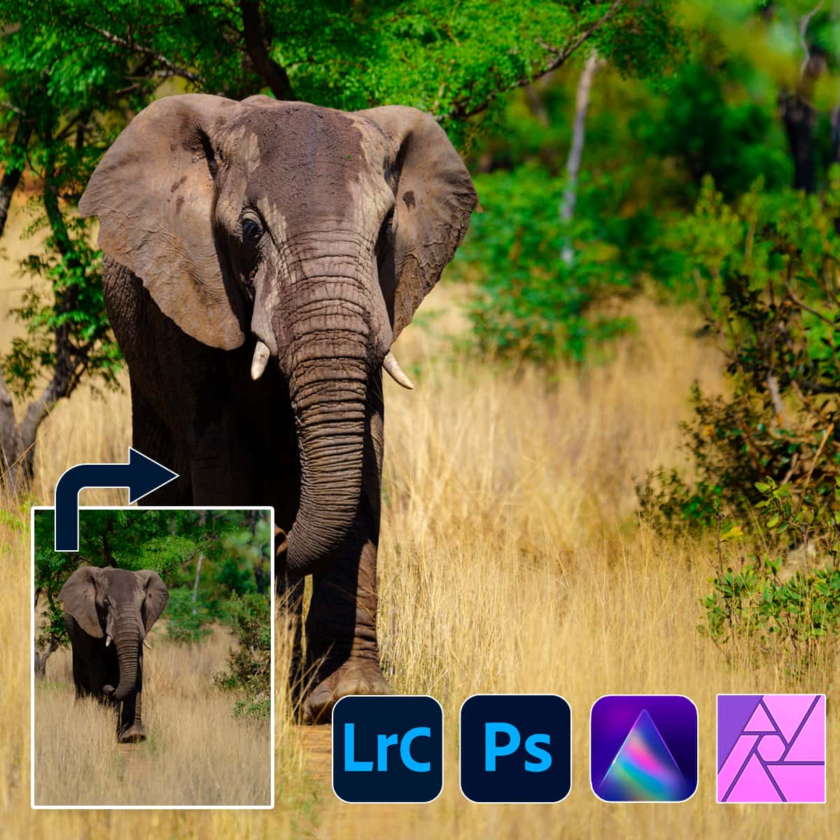 1200x1200 fb ad fotobewerkings 3 daagse ad4