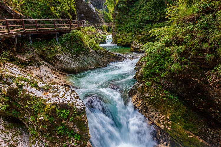 Natuur fotograferen in Slovenië Natuurfotografie fotoreis - Slovenië
