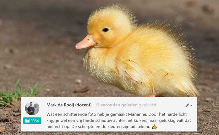 Laat je foto's beoordelen door fotografen