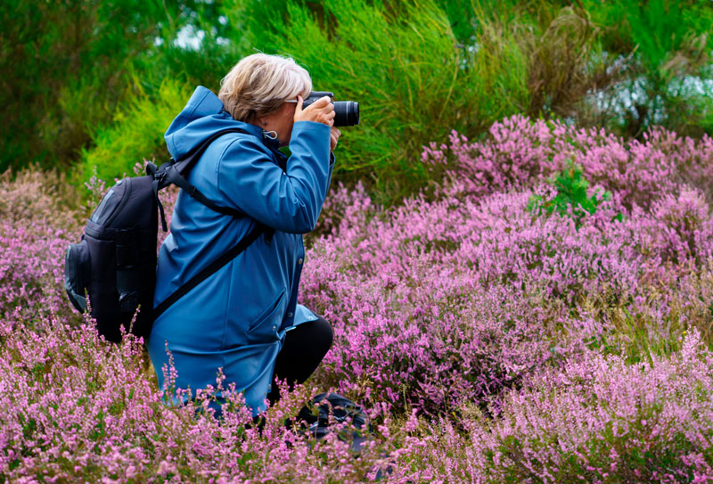 Fotoclub om samen te fotograferen