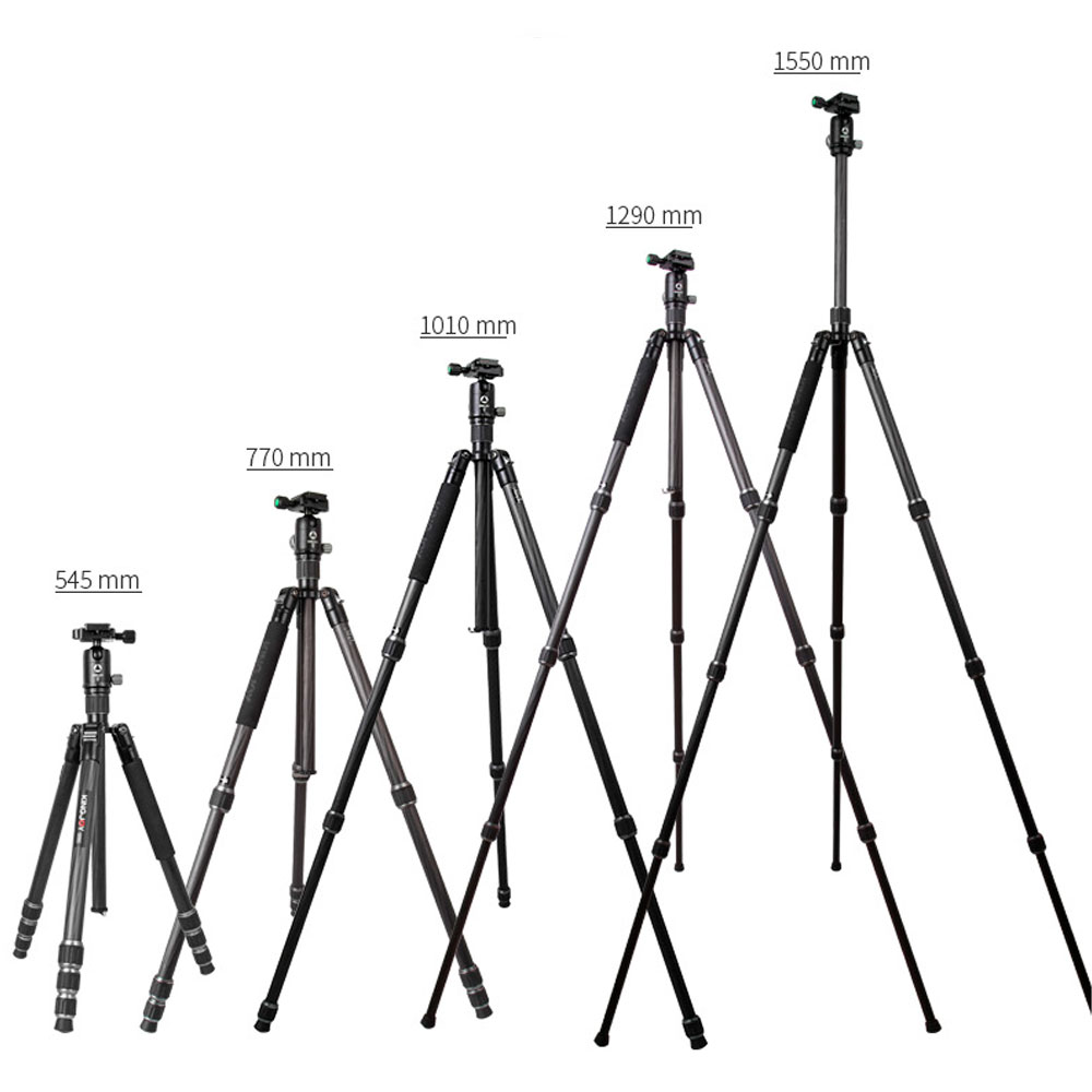 Omgekeerde Schuine streep neutrale Kingjoy G55C carbon statief + G0 balhoofd - De Rooij Fotografie