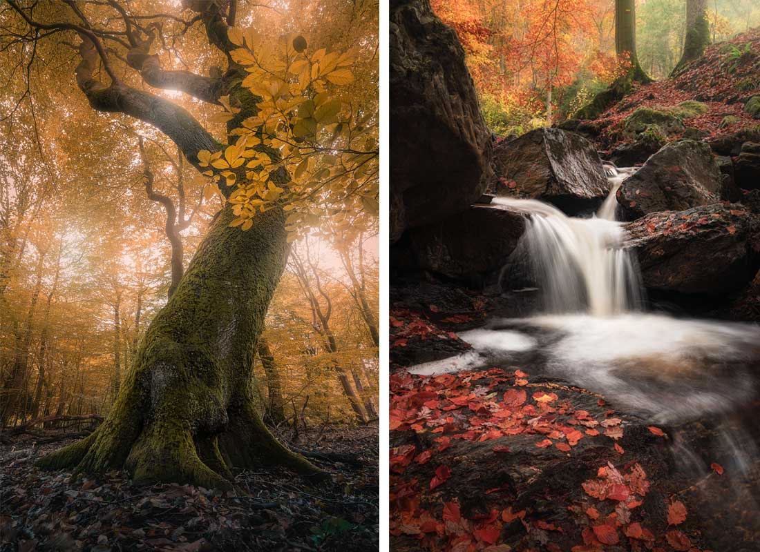Fotografieweekend Ardennen - Astrofotografie 