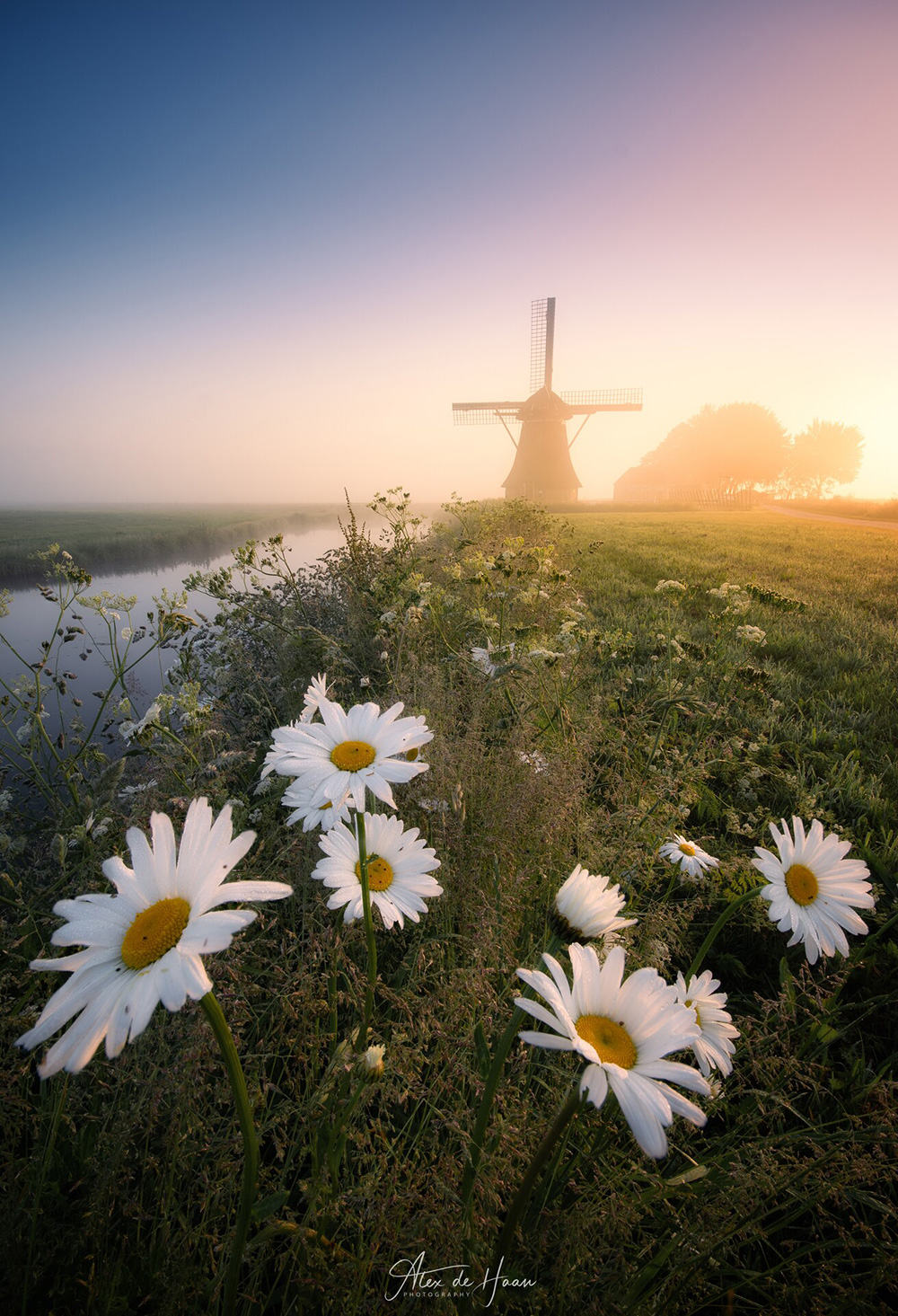 fotowedstrijd-2021-Alex-De-Haan-Friesland Fotowedstrijd 2021 Friesland