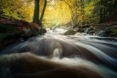 Fotoweekend landschapsfotografie in de Ardennen