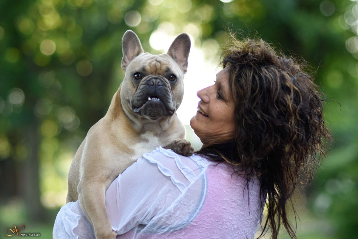 portretfotografie honden