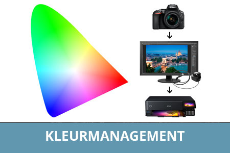 Workshop kleurmanagement