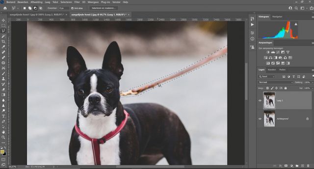 Longeerlijn of hondenriem wegbewerken met photoshop