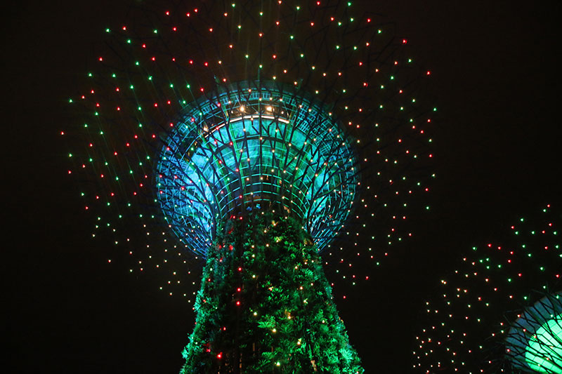 Fotoreis Singapore - Gardens by the Bay